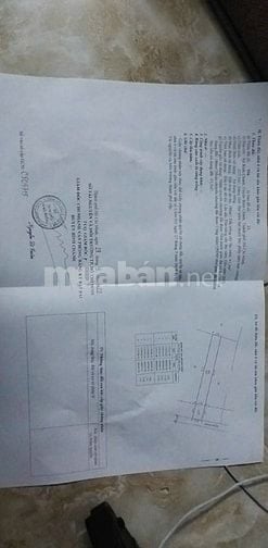 BÁN ĐẤT XÃ BÌNH CHÁNH, HUYỆN BÌNH CHÁNH