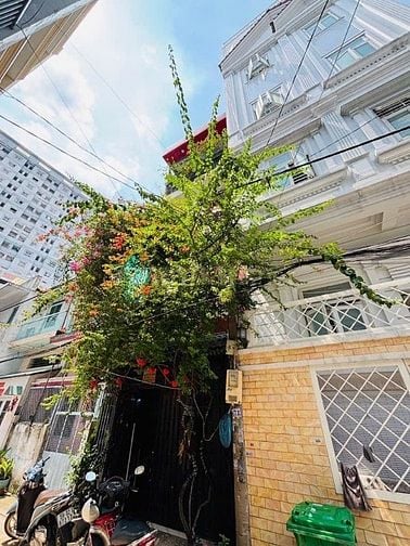 💥BÁN NHÀ 4 TẦNG BTCT- PHÚ TRUNG TÂN PHÚ-4X14-HXH 6M THÔNG-8.X TỶ