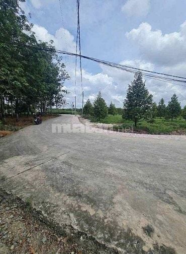 Bán đất khu chơn thành bình Phước 
