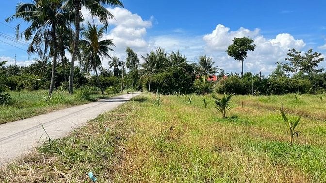 Bán Đất Thổ Vườn Đẹp Giá Rẻ Tại Tiền Giang Chỉ 585tr Có ngay 563m2