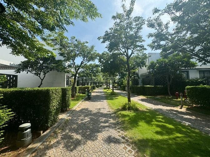 Bán đất biển Phước Hải - HCM 6x49 có 100m thổ cư giá 1,85 tỷ 