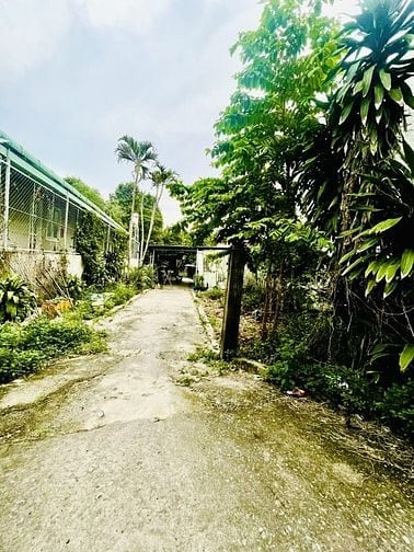 Chủ cần bán gấp để chửa bệnh, sổ để nhà không vay.