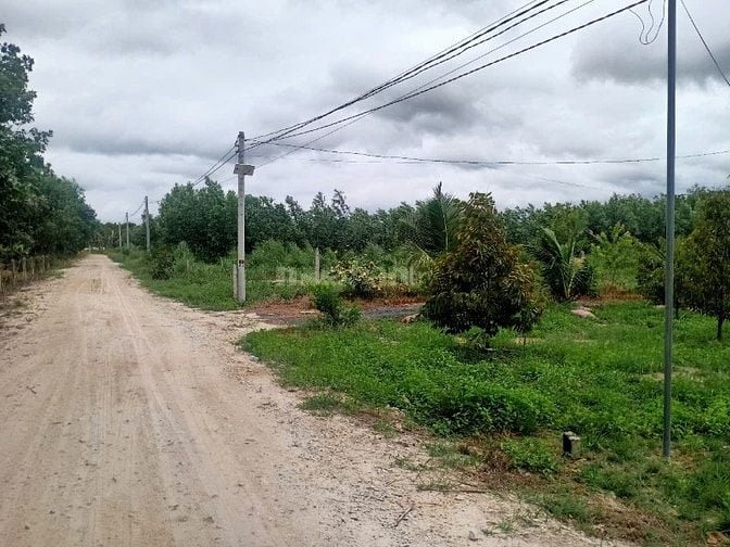 vườn trái cây Minh Thạnh có sẵn thổ cư.