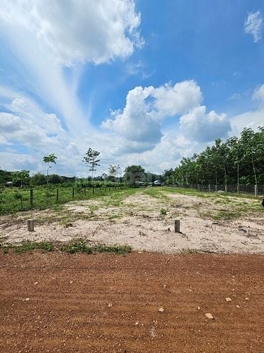 CẦN RA 3 LÔ ĐẤT NGỘP TP.HCM-NGUỒN F0