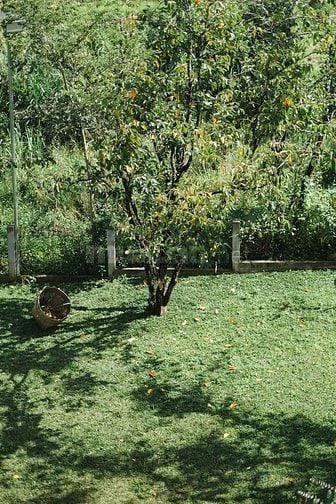 Cần bán lô đất ngang 30m, diện tích 2000m2 có 550m2 thổ cư Đức Trọng
