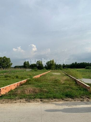 CẦN BÁN GẤP ĐẤT MT, FULL THỔ CƯ ĐI ĐỊNH CƯ NƯỚC NGOÀI