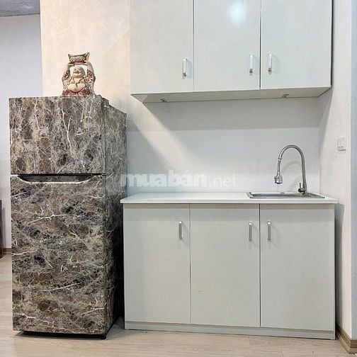 Cho thuê cả nhà hoặc từng căn hộ dịch vụ, số 46 phố Nam Ngư-Hoàn Kiếm
