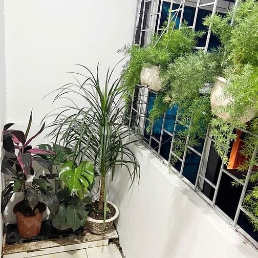 Cho thuê cả nhà hoặc từng căn hộ dịch vụ, số 46 phố Nam Ngư-Hoàn Kiếm