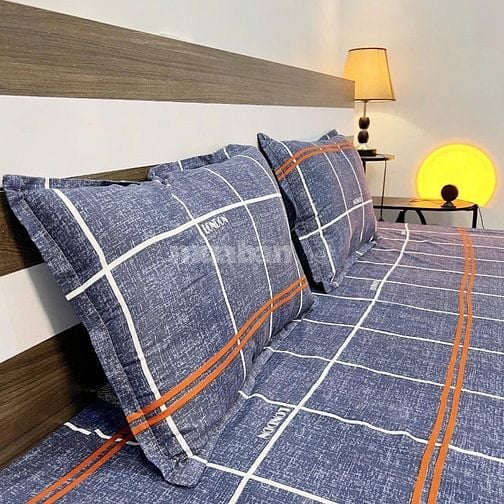 Cho thuê cả nhà hoặc từng căn hộ dịch vụ, số 46 phố Nam Ngư-Hoàn Kiếm