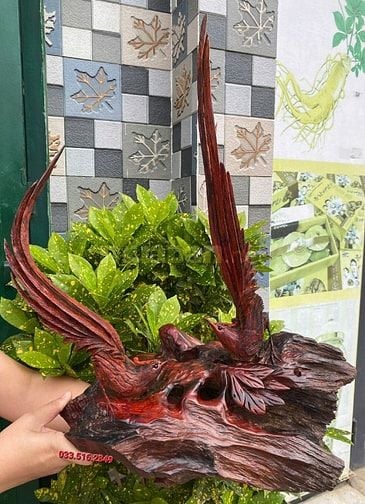 CHIM TRĨ UYÊN ƯƠNG ĐẸP ĐỘC LẠ 
