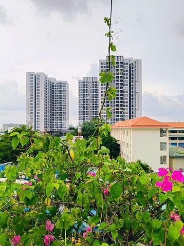 Bán nhà có hầm mặt tiền An Dương Vương Quận 6, lề 9m, DT 4x20m