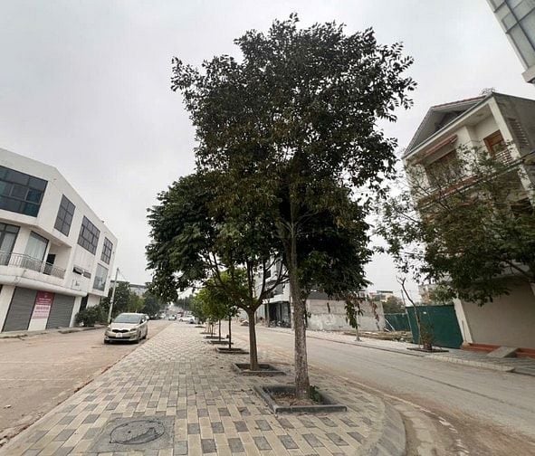 Nhà 2 mặt tiền lô góc trung tâm Đan Phượng hướng Nam-ĐB