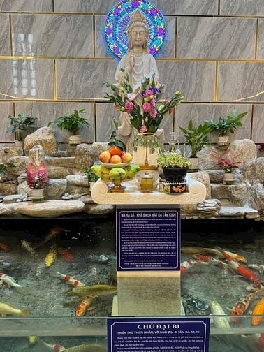 Tìm nữ ở ghép (hiện đã có 2 nữ)