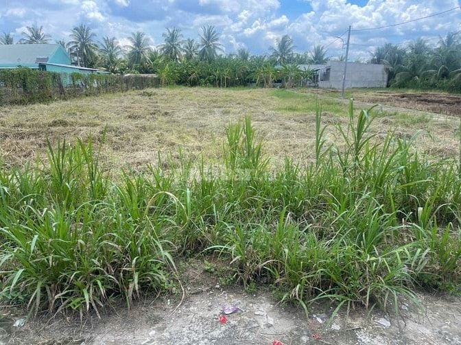 Bán đất KCN Tân Hương, 520tr, 115m2, pháp lý đầy đủ.