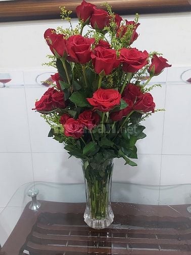 bán gấp chung cư bàu cát II Lô M