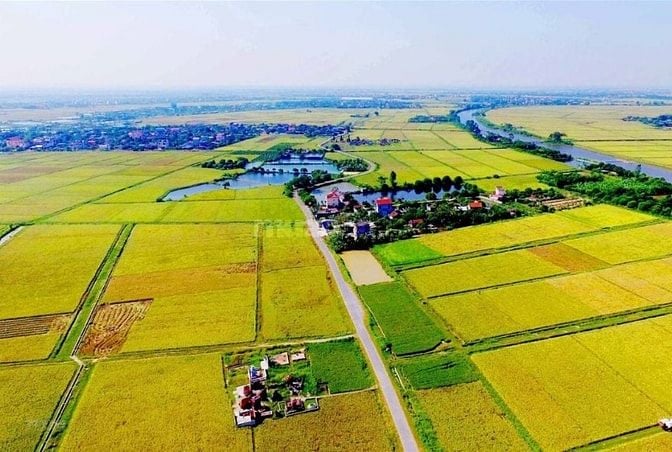 Bán Đất Nông Nghiệp Sài Sơn, Quốc Oai, Dt SĐ 200m2, MT 5m, Đường ô tô 