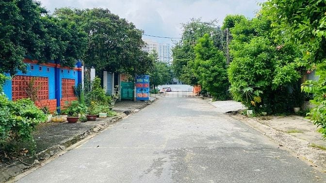 Bán đất dự án 10 mẫu đường ND.Trinh Quận 2 cũ nền C7 (200m2) 103 tr/m2