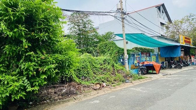 Bán đất dự án 10 mẫu đường ND.Trinh Quận 2 cũ nền C7 (200m2) 103 tr/m2