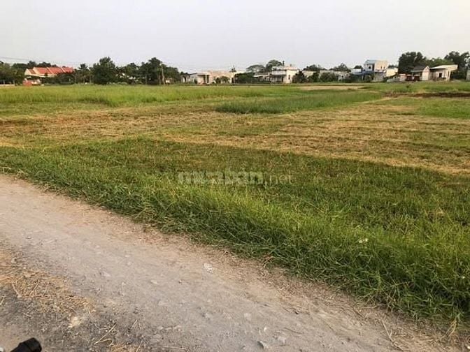 Bán đát xã mỷ hạnh [ xã củ đức hòa đông ]