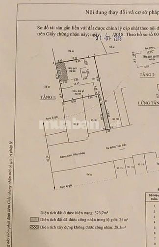 Villa cao cấp Thảo Điền 342m² đất, dòng tiền 90tr/tháng, giá chỉ 70 tỷ