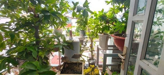 bán nhà lạc long quân khu chợ tân bình giáp bàu cát