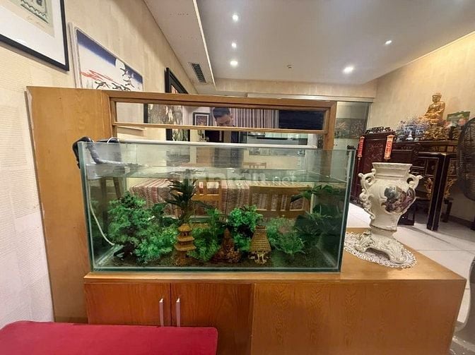 CĂN HỘ CHUNG CƯ DOLPHIN PLAZA - 171M2 - 3PN
