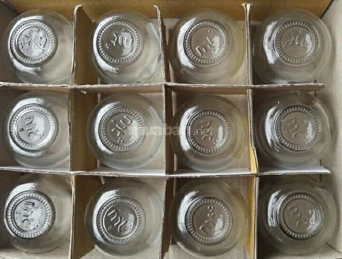 DỊCH VỤ CẠO GIÓ GIÁC HƠI TẠI NHÀ 