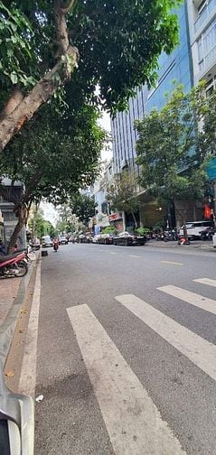 Tòa nhà 10 tầng MT Nguyễn Công Trứ Q1, 4x16, HĐT sẵn 70tr chỉ 35 tỷ TL