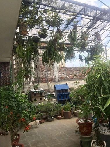 Bán nhà khu phân lô Lạc long Quân Tây hồ Hà Nội