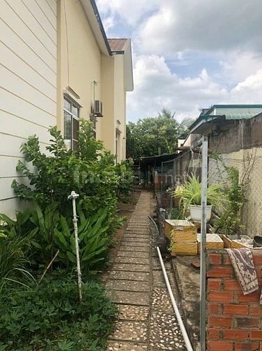 Cần bán nhà vườn tại 114 ấp 1 Mỹ Nhơn, xã Tân Bửu, huyện Bến Lức