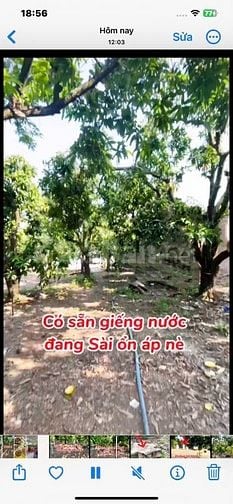 Đất thổ cư ,sổ hồng riêng ,định quán đồng nai