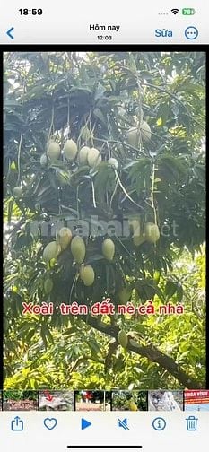 Đất thổ cư ,sổ hồng riêng ,định quán đồng nai