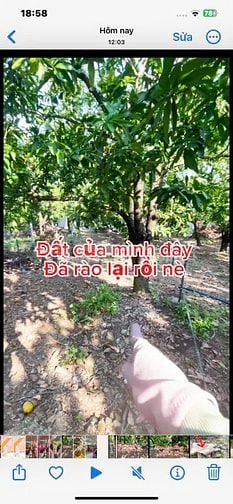 Đất thổ cư ,sổ hồng riêng ,định quán đồng nai