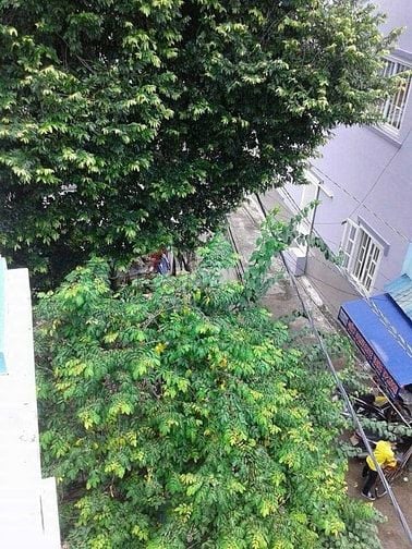 CHO THUÊ NHÀ HXH NGUYỄN VĂN ĐẬU P11 BÌNH THẠNH 160m2 2 TẦNG 30tr/th.
