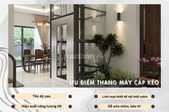Nên chọn thang máy thủy lực hay cáp kéo? So sánh chi tiết từ A - Z