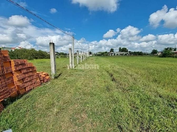 Bán đất  xã hòa khánh tỉnh tây ninh [ xã củ hòa khánh đông đức hòa ]