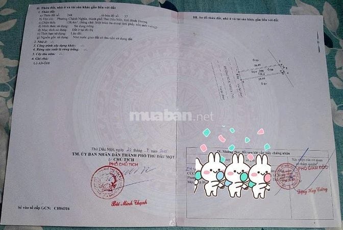 Bán Đất Đường Số 8, Khu Dân Cư Chánh Nghĩa, P.Chánh Nghĩa, TDM, BD
