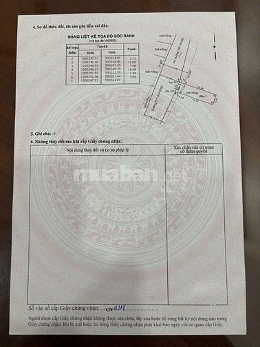 📣📣📣 BÁN ĐẤT ĐẸP SHR 5x22M 1/ TRẦN THỊ BỐC – HÓC MÔN