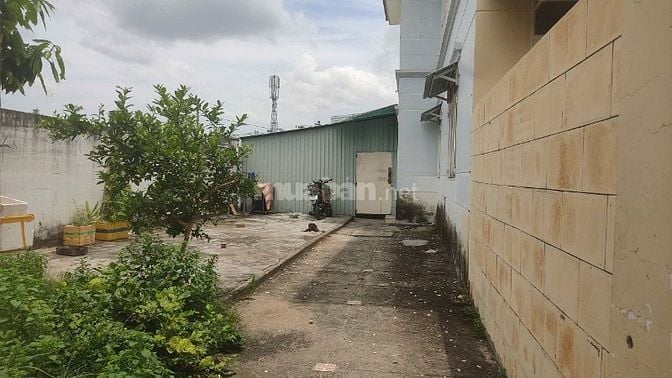 BÁN 300M2 NHÀ GÒ CÁT - SHR Bao sang tên GIÁ SIÊU TỐT
