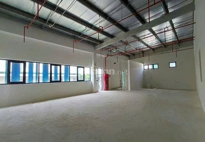 Cho thuê nhà xưởng  5.000m2 - 10.000m2 ,  KCN Phú An Thạnh, Long An 