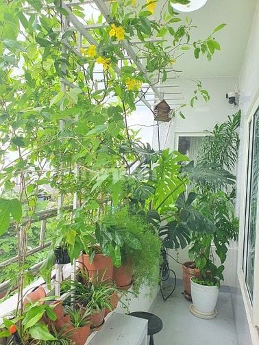 CHÍNH CHỦ BÁN CĂN HỘ GÓC 74M2 – VIEW ĐẸP – FULL NỘI THẤT CAO CẤP – GIÁ