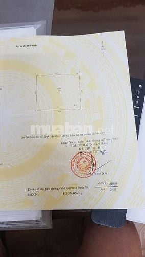 Cho thuê cả nhà mặt đường 184 Giải Phóng 
