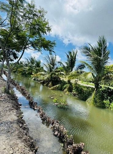 Em cần bán lô đất ngay mặt tiền đường DT824, sau chợ Đức Hoà 125m2