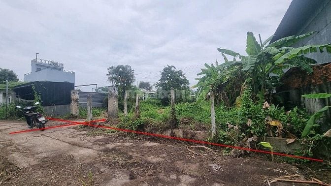 Bán đất Xuân Thới Sơn, Hóc Môn | Giá chỉ 11 triệu/m² | 622m² 