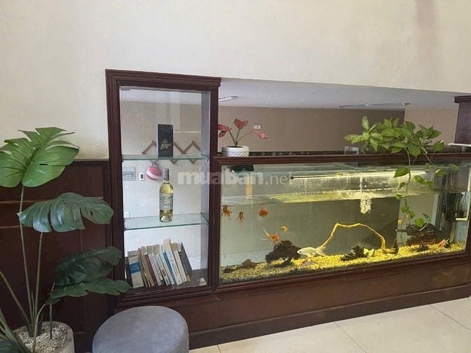 💎 BIỆT THỰ PHỐ MẶT TIỀN LÊ THÚC HOẠCH– CÓ HẦM – GIẢM SÂU 2,2 TỶ – DU