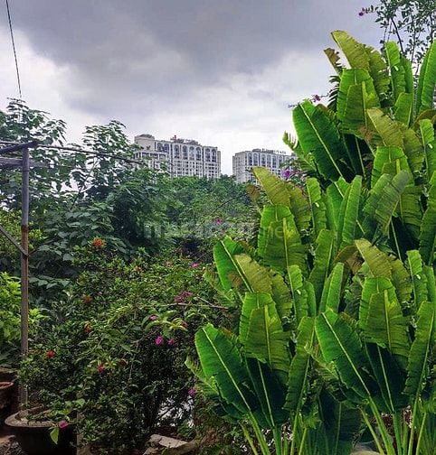 BÁN NHÀ MẶT PHỐ, NGÔ THÌ SỸ,HÀ ĐÔNG.