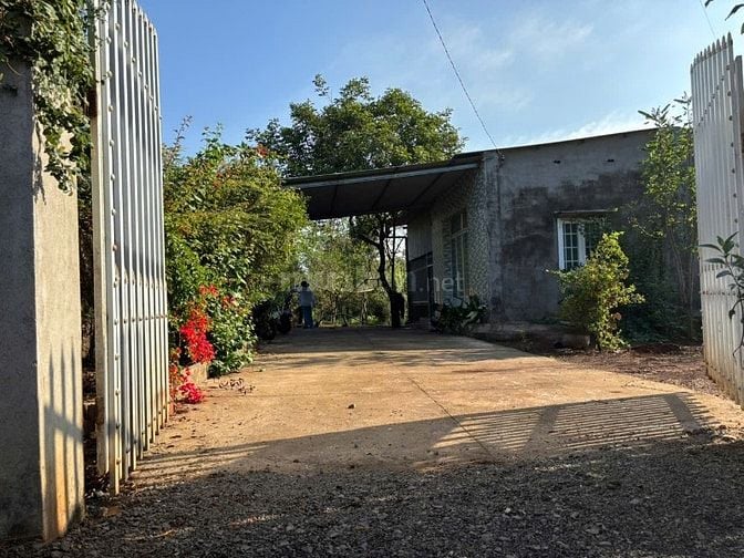 Chú Em Vườn Nghỉ Dưỡng 3.800m² Nhà Sẵn, 2 Mặt Tiền Đường 770B Hưng Lộc