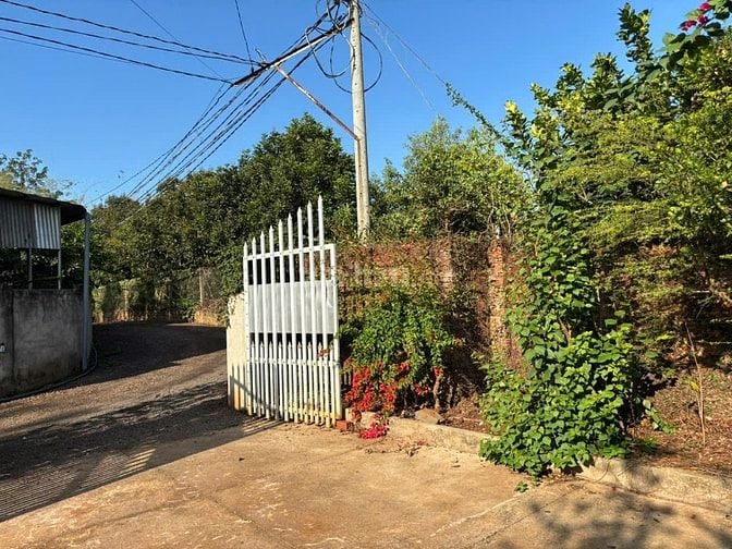 Chú Em Vườn Nghỉ Dưỡng 3.800m² Nhà Sẵn, 2 Mặt Tiền Đường 770B Hưng Lộc