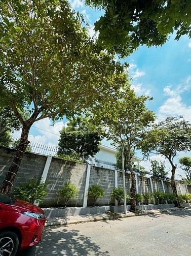 Bán căn biệt thự sân vườn hồ bơi đẹp, thoáng mát tại Hóc Môn
