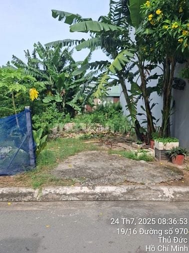 Bán đất đường 970 phường Phú Hữu Quận 9 cũ giá 5,2 tỷ